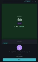 shit33.webp