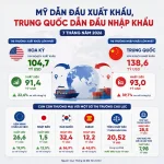 1785899095446.webp