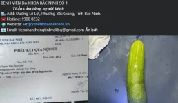 1788494798464.webp