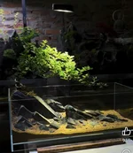 1789442219739.webp