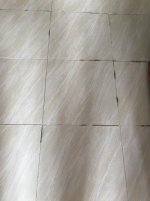 8244D105-3595-4B52-9900-9CF15CEA13E0.jpeg