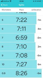 Run 3.jpg