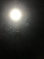 267A4480-039F-49A8-977A-9F1FD1D4530F.jpeg