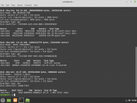 Screenshot from 2021-08-10 05-48-10.png