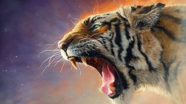 HD-wallpaper-cats-tiger-roar.jpg
