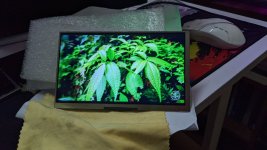 PXL_20210927_165501947.jpg
