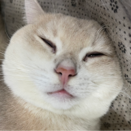 Lảm nhảm