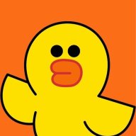 duck_fly