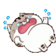 tonhanhgia