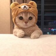 rinbeo