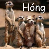 Hong_ver1
