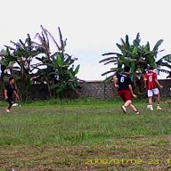 tieubao11a1