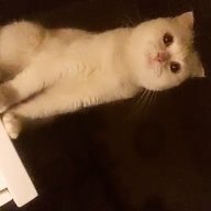 clonecueem