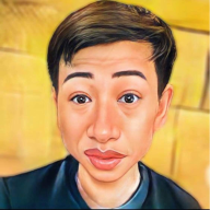 dilinhtinhdamphaidinh