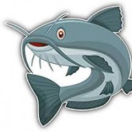 catfish-basa
