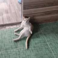 senpai94