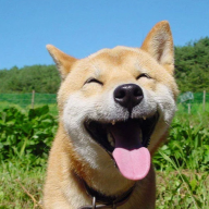 Hehehihi22