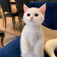 litte zero