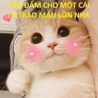 Dich Vu Mai Tang