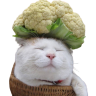 vozguy