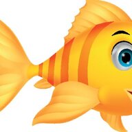 superfish12