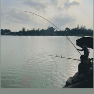 annhan174
