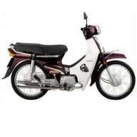 Dream ll