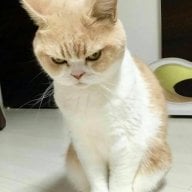 Lenh Ho Cong Tu