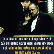 hHau8807