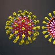 Corona Anti-virus