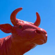 Cow Red