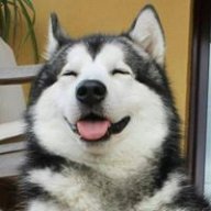 Bí của ngày hôm qua