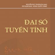 DaiSoTuyenTinh