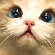 ꧁✢thiên thu ly biệt 💔 ꧂