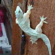 Concuthatlac