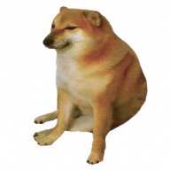 Làm gì có