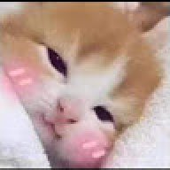 nimo_0