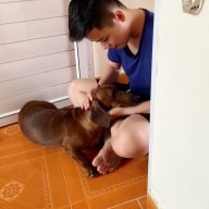 Mr.Tình