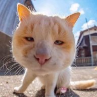 mòe péo