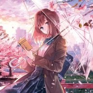 nishikoi