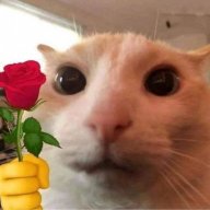 namnguyenpro123