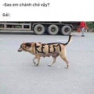 bonanovb
