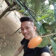 quangnam37