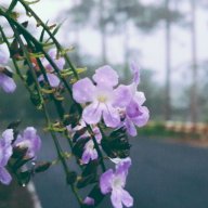 anh_dong_nghiep_tot_bung