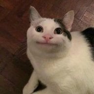 Wonbikun