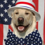 Presidential Dog