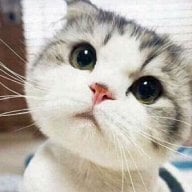 MeomeoTh
