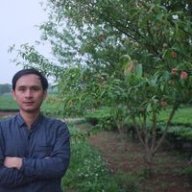 vuvietnam