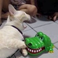 em có ba bích