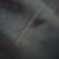 Nducloc